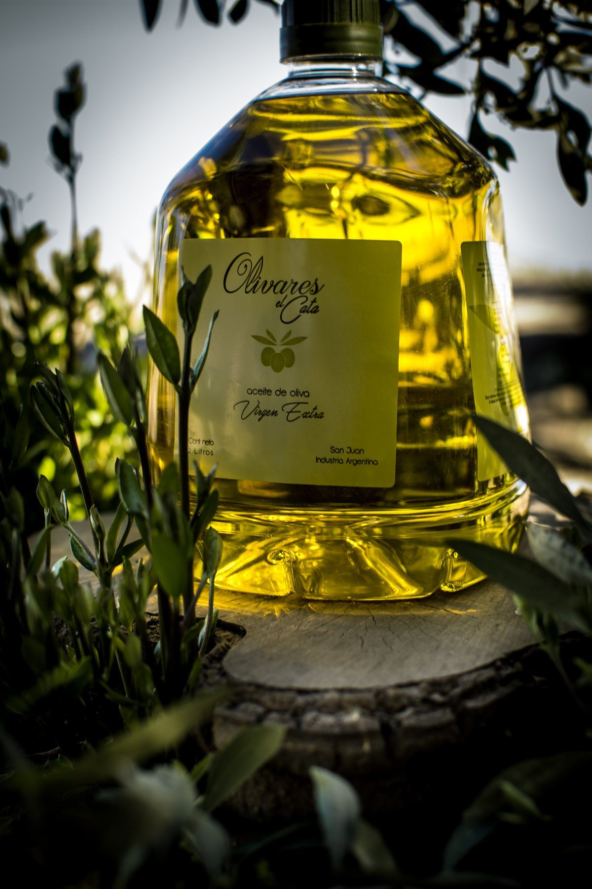Aceite de Oliva Extra Virgen El Cata