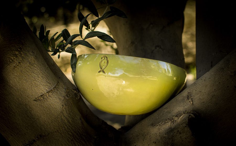 Botellas de aceite El Cata en producción