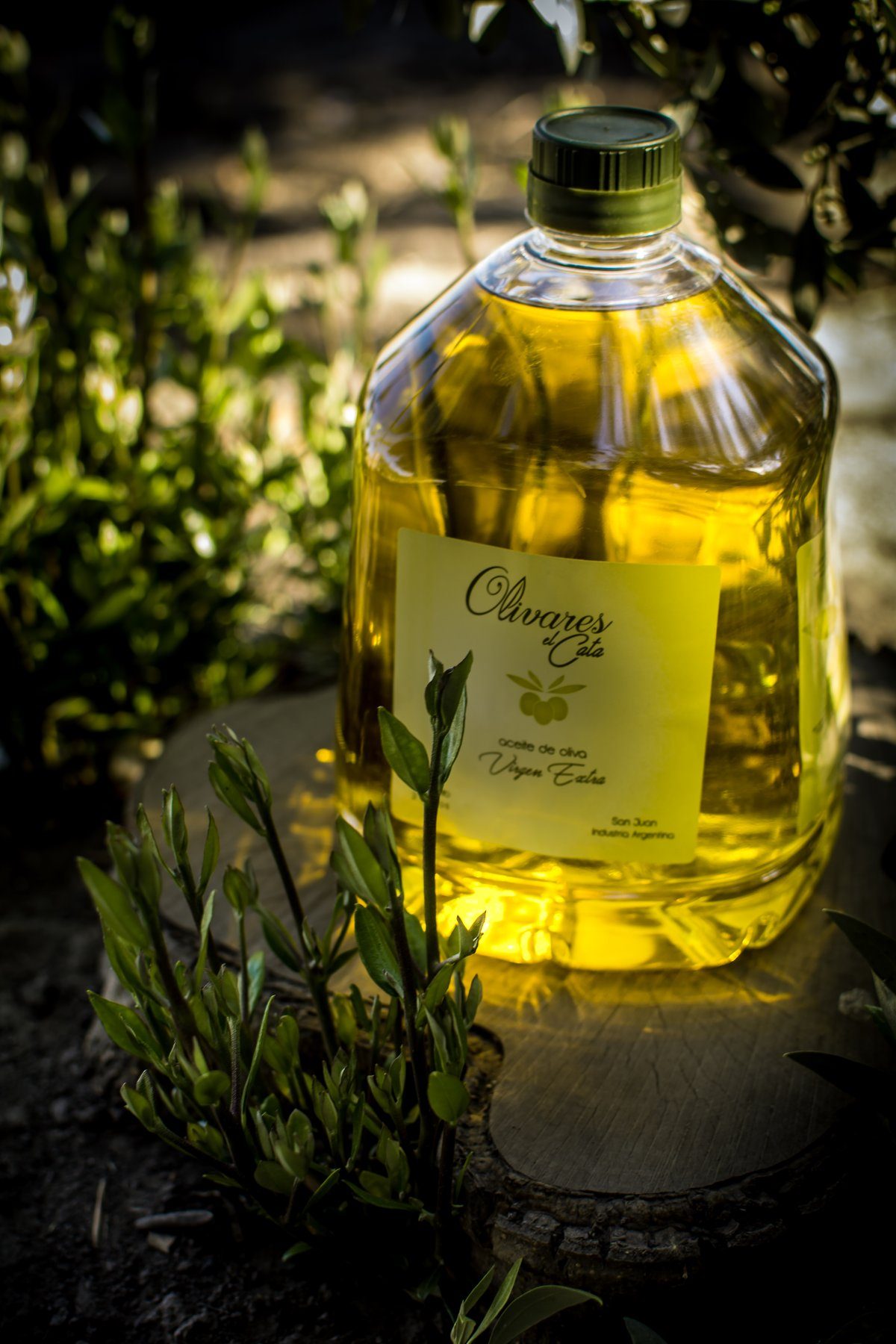 Olivares El Cata - producción