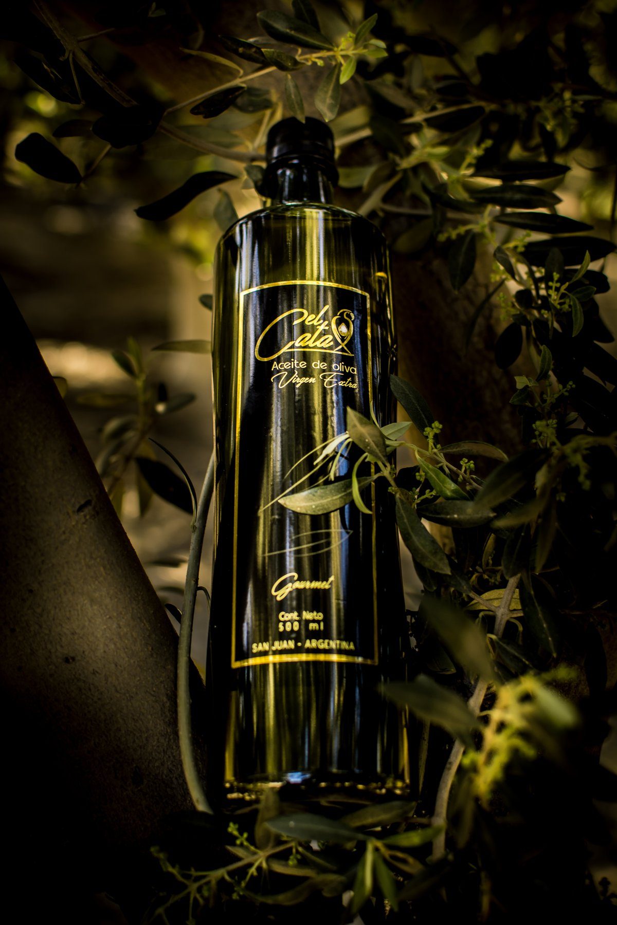 Olivares El Cata - aceite