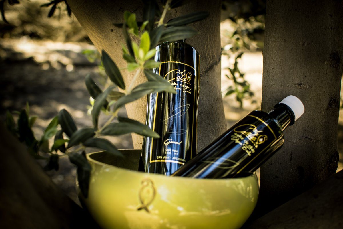 Maridajes con aceite de oliva